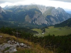 2013-09-08_6Falkenh-Steinfalk (343).JPG
